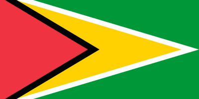 Guyana flag color codes HTML HEX, RGB, PANTONE, HSL, CMYK, HWB & NCOL
